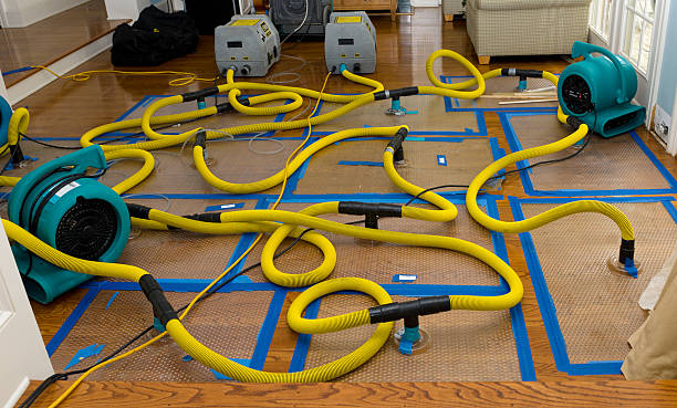 Professional Emergency Water Removal technician working in Barry, IL